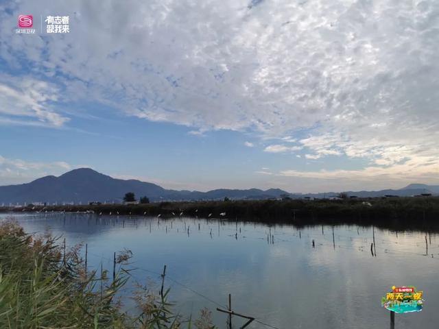 深圳周边游玩天空秘境（深圳周边冷门目的地）