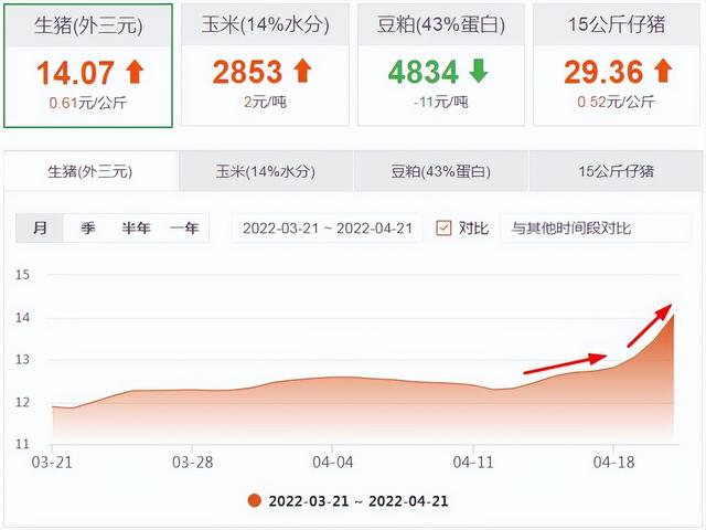 猪价一举突破7元！单日涨幅高达近1元，猪价“破8”一触即发？
