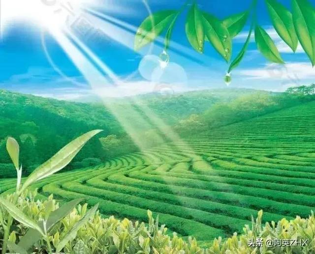 晨拾金言话心语