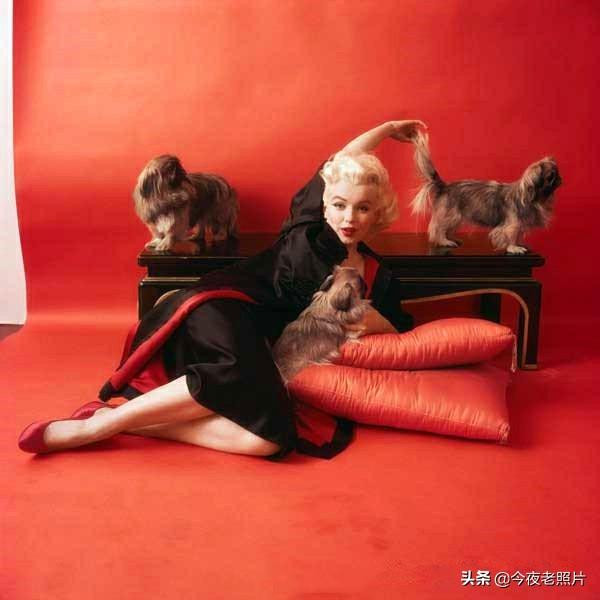 23张罕见照：日军跪在路边向妇女乞讨，德军吃剩的马蹄堆积如山