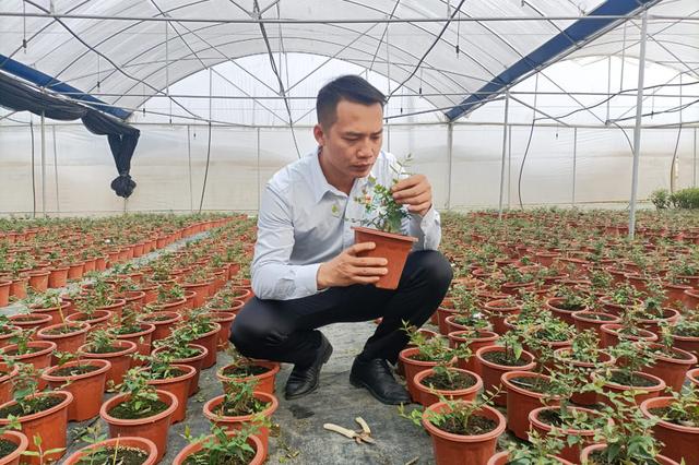 加油努力再长征！八桂大地春风浩荡满目新