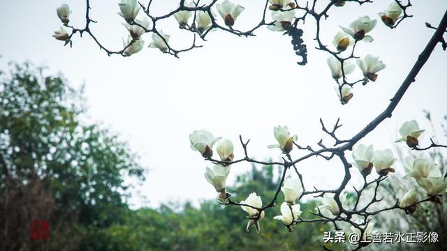 长安十三朝之前赵长安
