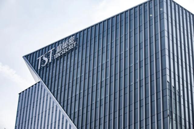 家族、伎俩和梦，张庭如何托起<a href=https://maguai.com/list/107-0-0.html target=_blank class=infotextkey>微商</a>帝国