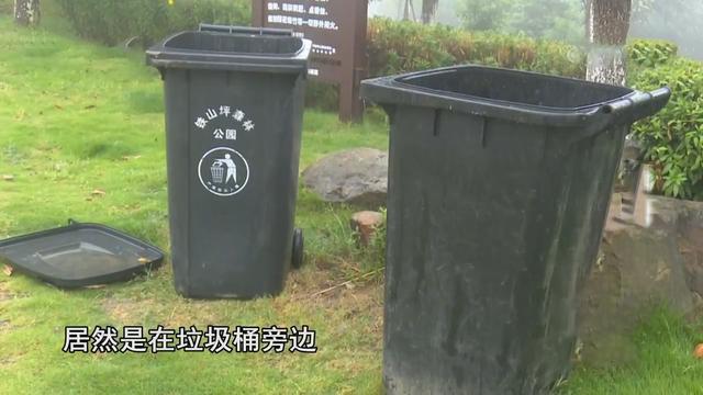 18年重庆一起交通事故，0伤亡却要理赔86万，警方调查发现不简单