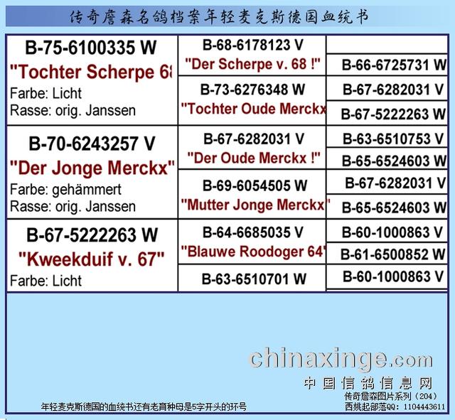 邢台华普机械制砂机