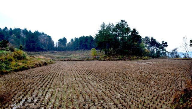 貴州金沙，踏紅軍足迹，觀古道山水，進溶洞探險