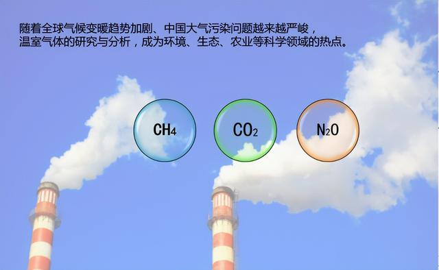 科学家警告：种种迹象已经表明，地球可能正进入第六次生物大灭绝