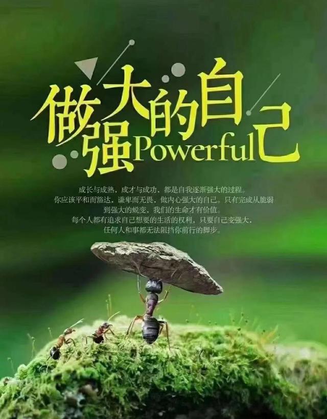 用心奔前程 不回头，懂得放下才是大道