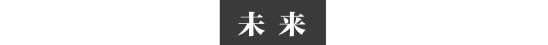 华人在缅北防疫28年 与诈骗团抢人