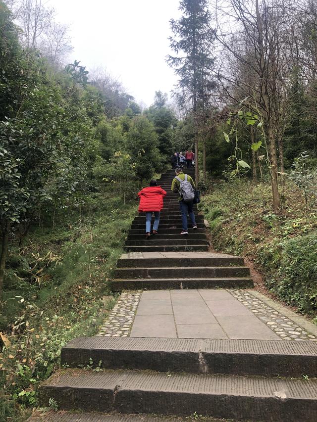 一不小心又成了夜遊~周末街子古鎮康道徒步到光嚴禅院~腳都走麻了