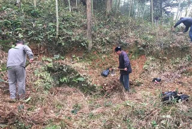 俗语“清明上坟四禁忌，子女触犯散财气”，指哪4种？为何散财气