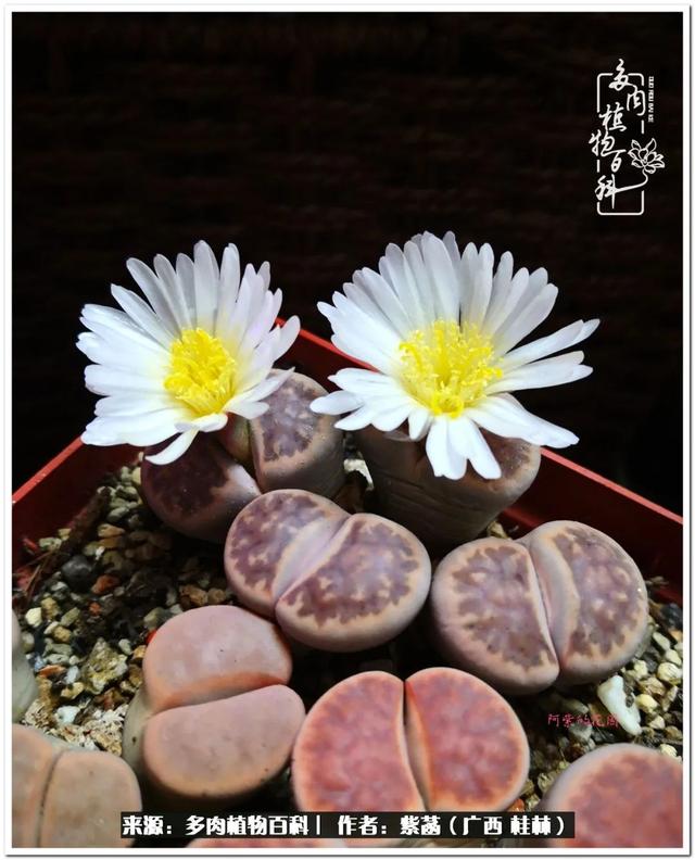 桂林滚筒式洗砂机厂家