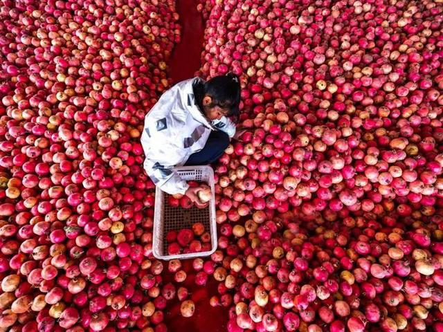 图赏 | 叶城:摄影促交流,图像展新貌