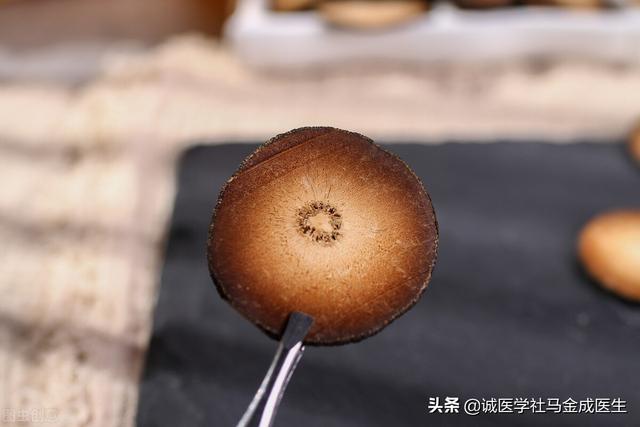 头晕该降血压？还是补气血？一方子加1味药，化痰止眩，告别头晕