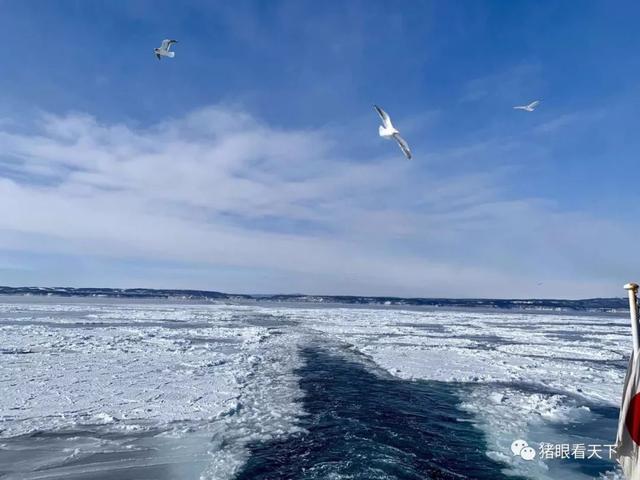 玩了一趟北海道，我家花了六位數