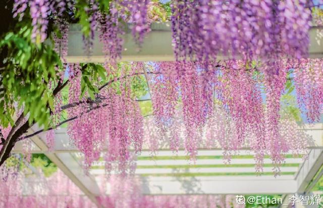 漳州鹅卵石制砂机厂家