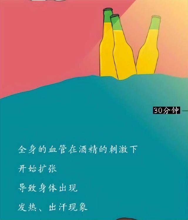为什么要戒酒？科普：喝酒后人体24小时的变化，看完你还会喝酒吗