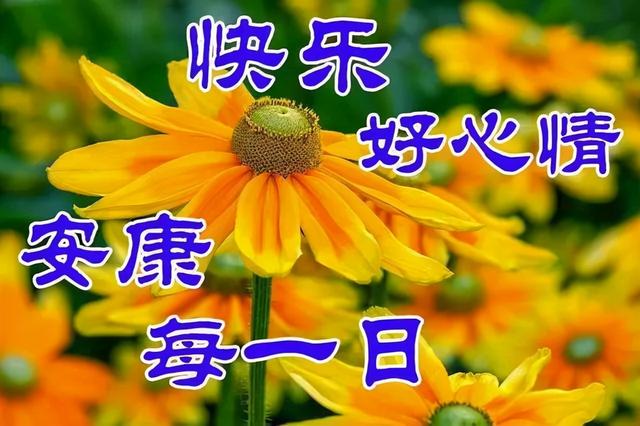 暖心简单早上好祝福句子 最新很漂亮的早上好祝福图片精选