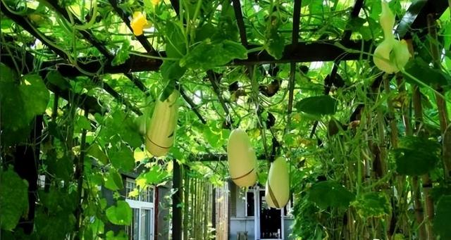 https://blog.sina.com.cn/s/blog_9766a3620102yz3l.html