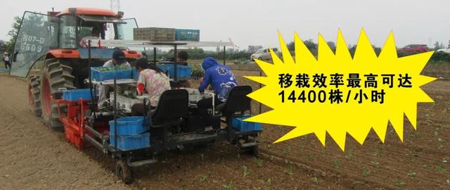久保田重磅推出新产品——IKP-4蔬菜移栽机，助力蔬菜机械化发展