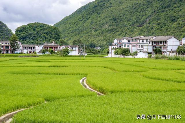 哪个省人最丑男人五官好看，哪个省人最丑十大排名