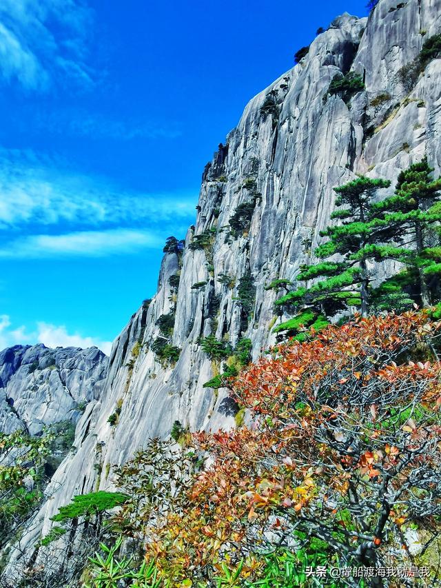 黄山特点