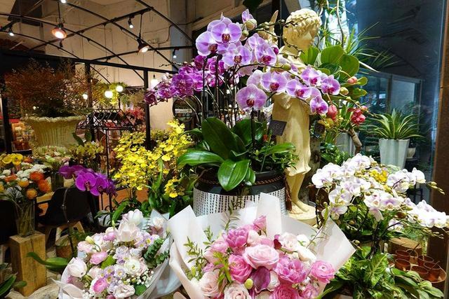 夏天去花市，4类花不要买！花商：不懂的人才喜欢买