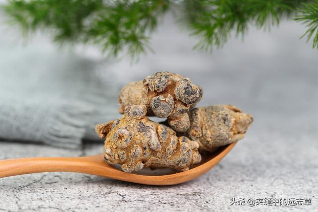 讲一味三七，细数其6大功效，4个细节，原来贵有贵的道理