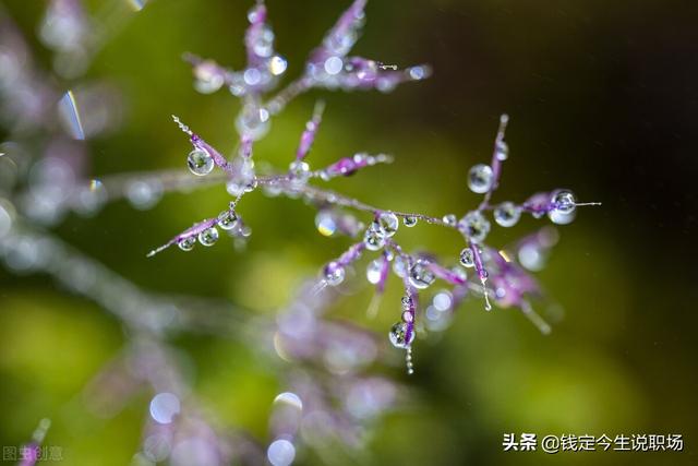人过50：看淡一切，善待自己；珍惜拥有，知足长乐，余生才能安澜