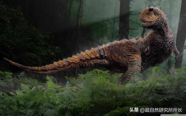 如果把地球的一生浓缩成一天，会发生什么？超出你想象的地球故事