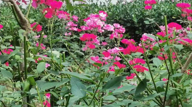 十个方法让你走出抑郁不吃药，十个方法让你走出抑郁