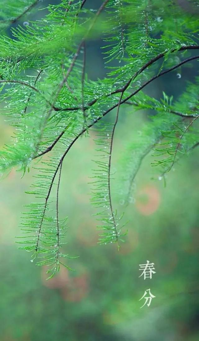 春色从此分，春光从此浓