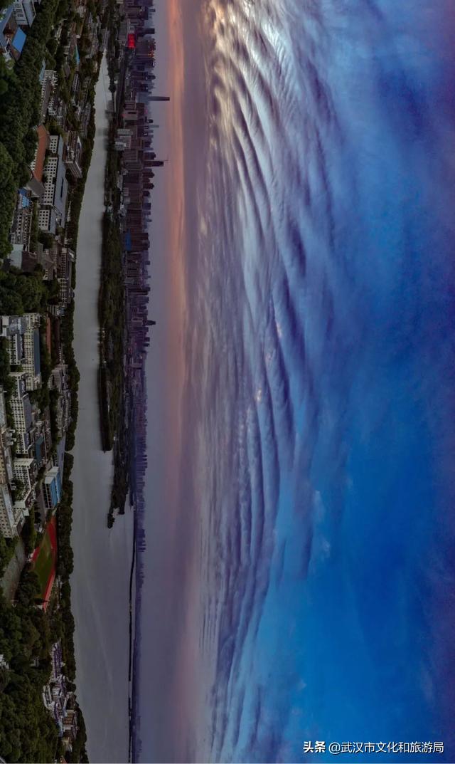 你好，珞珈山的夏天……