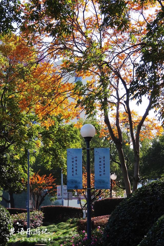 身爲5A景區卻堅持免費，秋色斑斓到處如畫，甯波這個景點讓人驚豔