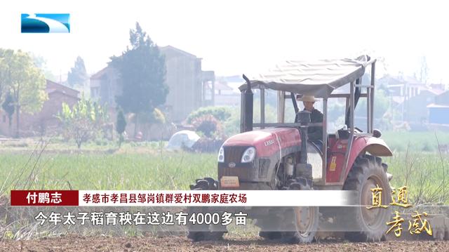 付鹏志：请叫我新农人