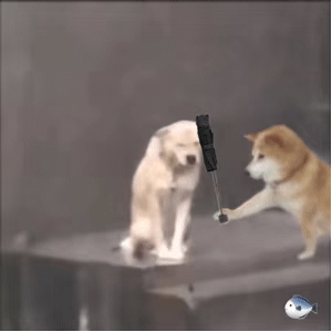 0ml面霜跟50g哪个多花开富贵是什么意思，50ml面霜跟50g哪个多"