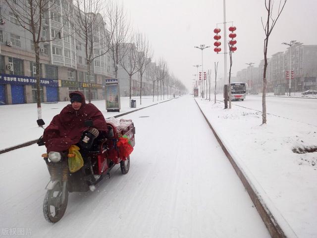 冻成狗 冻成狗（天冷冻成狗的搞笑图片） 生活