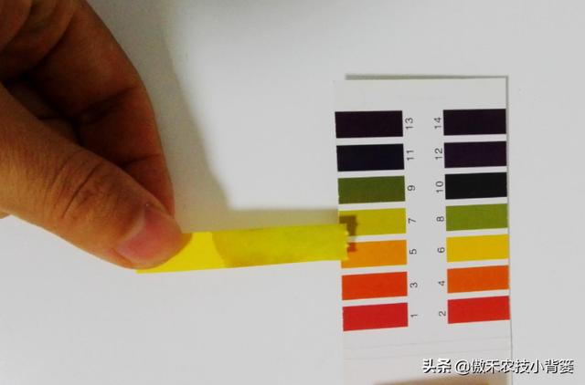 我国耕地土壤“南酸北碱”：酸性土壤和碱性土壤怎样施肥效果好？5