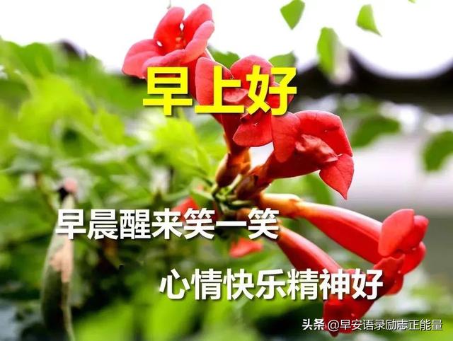 早上起床最火爆的励志早安心灵鸡汤语录，励志心灵鸡汤分享