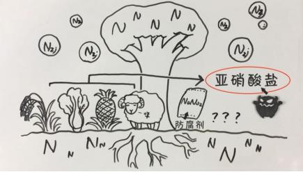 经过央视曝光后，老坛酸菜还能吃吗？
