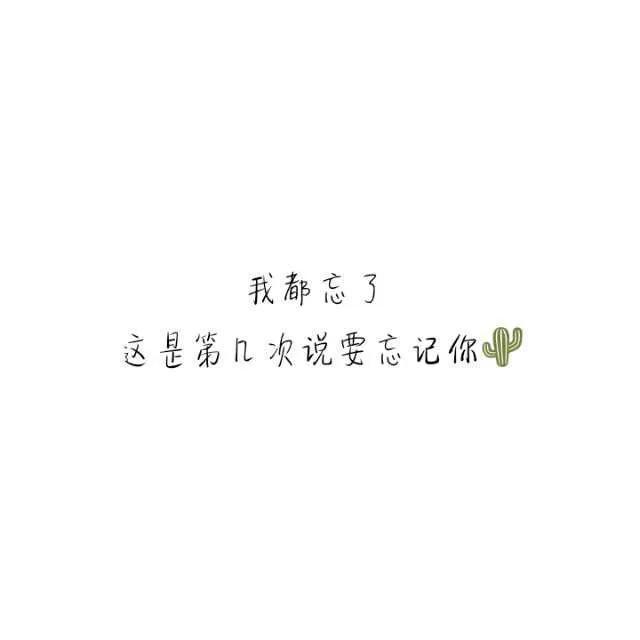 花火歌词是什么意思