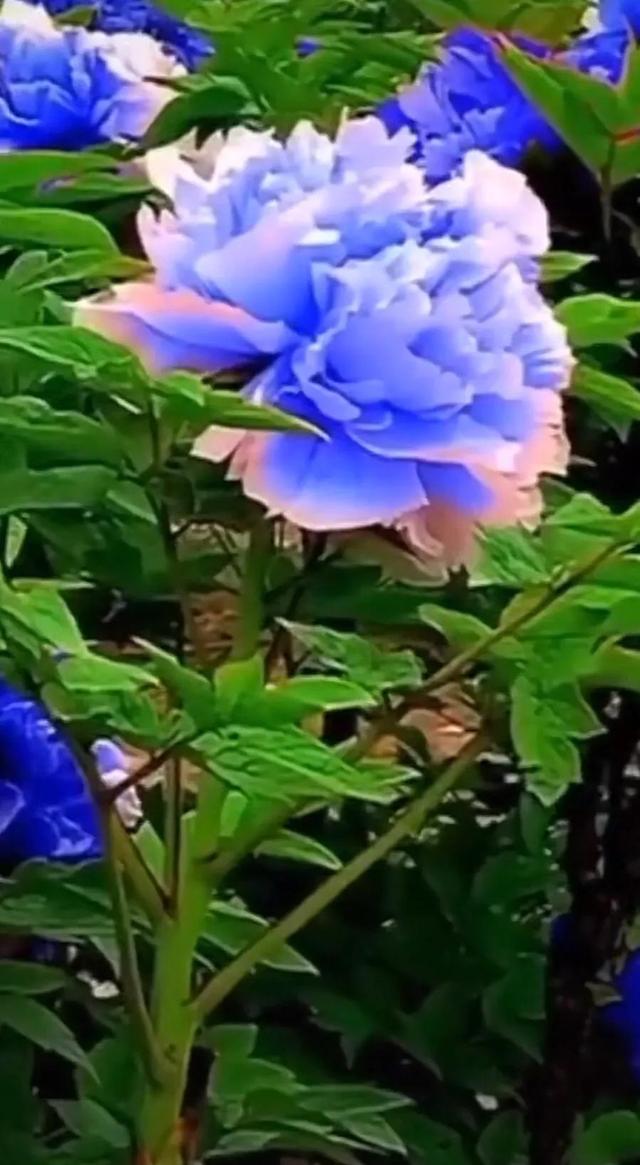 守住心底那份清静