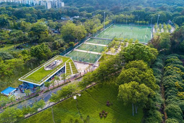 深圳8個免費旅行景點，你去過幾個？