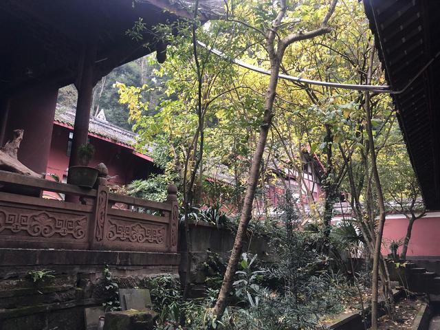 一不小心又成了夜遊~周末街子古鎮康道徒步到光嚴禅院~腳都走麻了