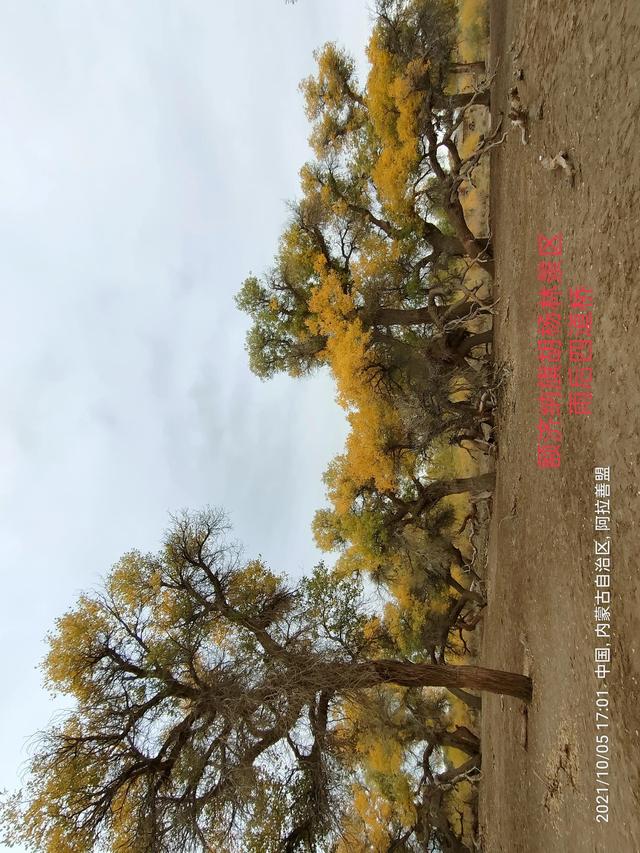 西行漫記之10月5日內蒙古篇