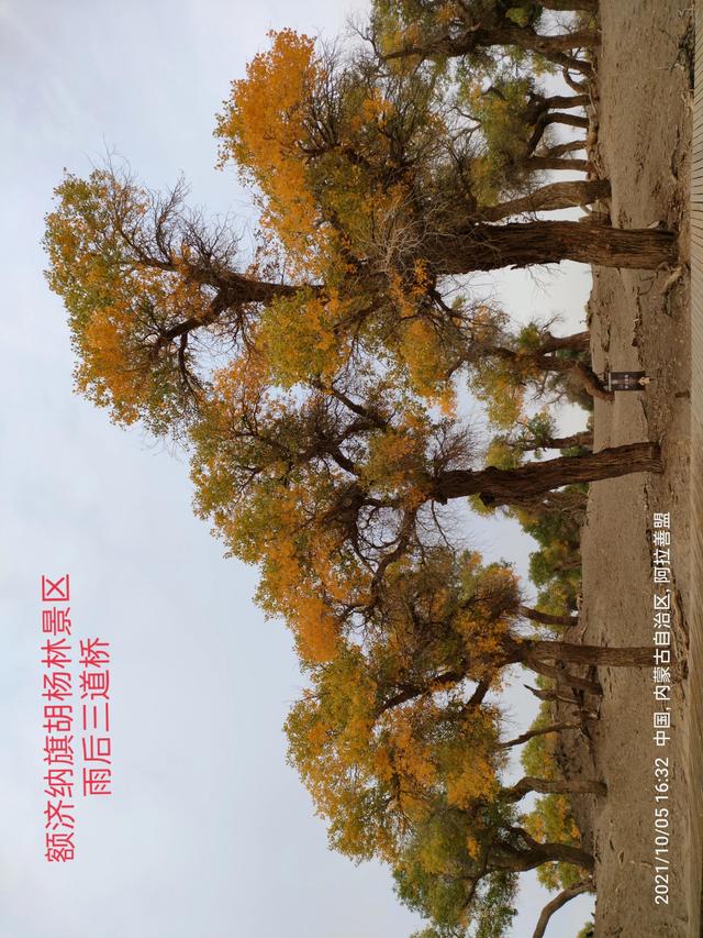 西行漫記之10月5日內蒙古篇