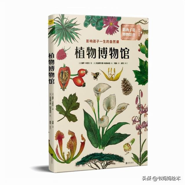 10本植物科普书籍推荐，让孩子在家也能探索大自然的奥秘