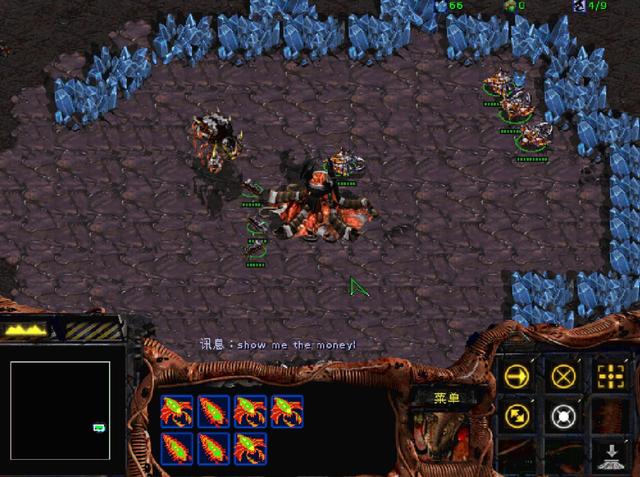 星际争霸 地图全开(星际争霸秘籍命令)-单机攻略-三国之家