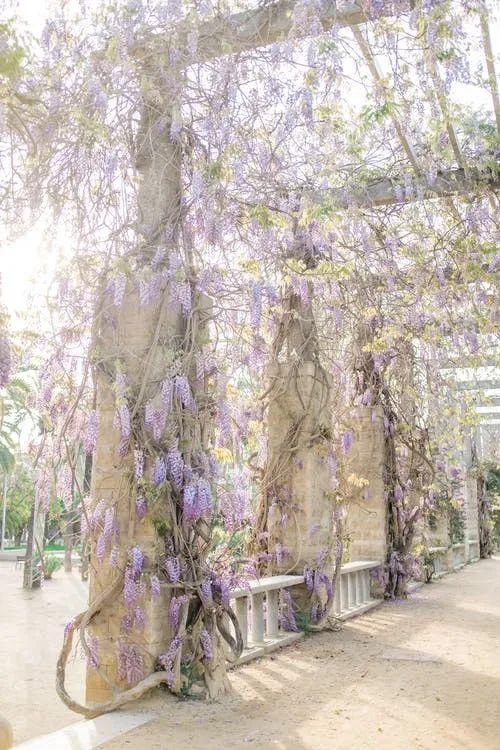 九言 | 不辜负生活，不迷失方向
