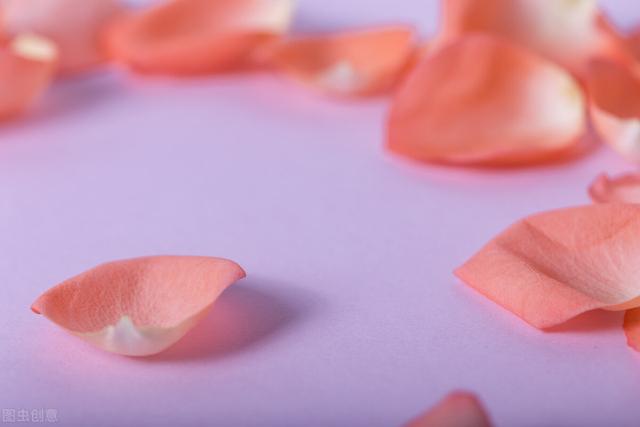 何红雨作品｜接近你，爱上你，就要你